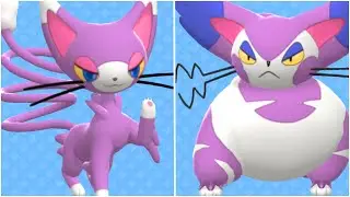 FULL GLAMEOW EVOLUTION TEAM! Shiny Glameow, Shiny Purugly