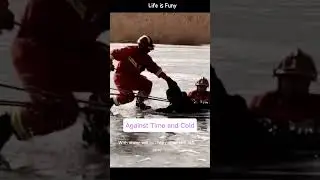 Against Time and Cold #shorts #shortvideo #rescue #save #braverystory