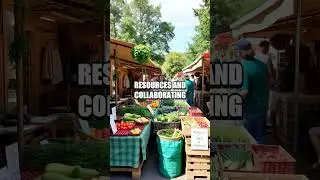 Green Hospitality: Elif's Eco-Friendly Resorts