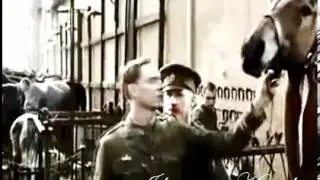 Captain Nicholls -- I'm Coming Home