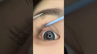 What&rsquo;s the best lashes cluster for the beginner#beauty #easylashes #makeup #divaphilediy #lashes