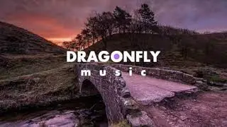 Ikson - Early Hours | 1 Hour Version
