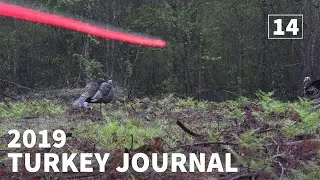 THE SUPREME CHALLENGE..BOW NO BLIND GEORGIA PUBLIC LAND GOBBLER -2019 Turkey Journal | Episode #14 |