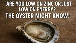 Oysters: Nature&rsquo;s Mood Booster or Just Fancy Sea Slime? The Science Bites Back