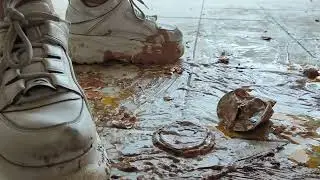 Buffalo shoes crush part 2/3