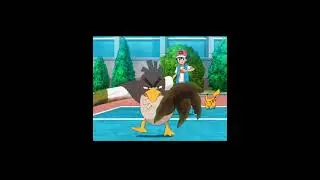Sirfetch'd &eacute; um cavaleiro senhores #pokemon #pokemoncuriosidades #pokemonjourneys #sirfetchd #far