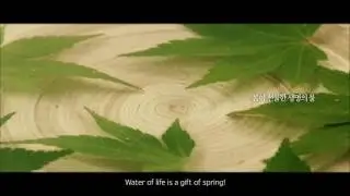 Корейская косметика на основе сока кленового дерева Maycoop