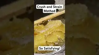 Crush and Strain Method of Harvesting Honey 🍯🐝 #Bee #Honey #BackyardBeekeeper #Beekeeping #Shorts