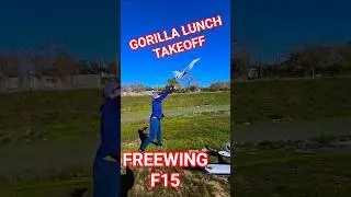 FREEWING F15 GORILLA TAKEOFF TECHNIQUE #fyp  #foryou #shorts #subscribe #rcplane