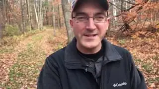 A Trip to Bonapartes Cave State Forest