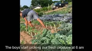 A Morning at Rosedale Farm and Vineyards