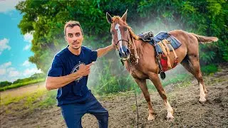 URGENTE🚨 PRECISO DA SUA AJUDA!
