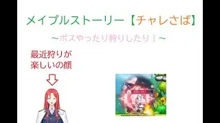 【メイプルストーリー】週ボスや狩りなどやる男【#ゔぁれっす】