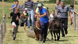 DRUGA PONIJADA  KOD VUKA SMILJANIĆA U REVENIKU- PETROVCU
