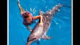 Interactive Aquarium in Cancun