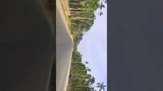 Drive all the way