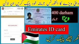 How to Check insurance in emirates iD/How to check insurance fine in emirates id.2025🇵🇸
