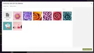 Как создать заблокированную форму подписки с помощью Bloom