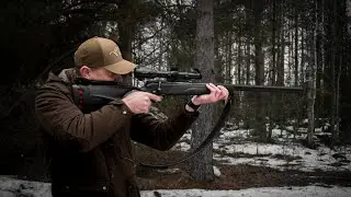 Blaser R8 - Red Deer Golden Medal