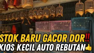 EDAN ‼️ STOK BARU MENDARAT DI KIOS KECIL INI GACOR DOR SEMUA! PANTES BUAT REBUTAN