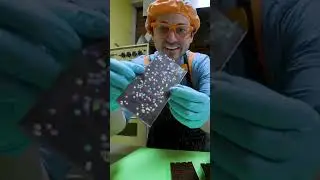 NEW BLIPPi CHOCOLATE CHALLENGE?!
