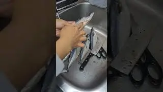 trick to clean fish | mackerel #canada #fish #cooking #food