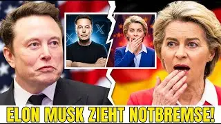 EU-Kommission emp&ouml;rt: Elon Musk zieht &uuml;berraschend die Notbremse