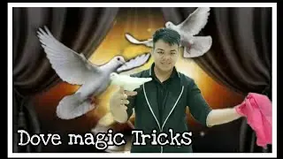 Dove 🕊️ Magic Tricks/ Silk Appearing Dove magic