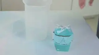 Instructions for a Whirl-Pak® Leak-Proof Closure