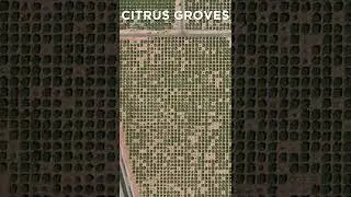 Surprising Luxury in Mesa Arizona - Citrus Groves, Las Sendas, Eastmark