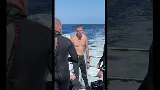 Технический специалист по обслуживанию регулятора беспокоится о своей главной проблеме #подводное...
