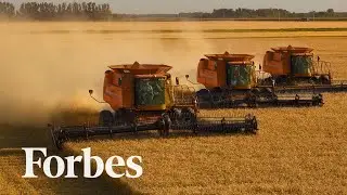 Making Bets On Corn, Sugar And Wheat With A Crop Futures ETF | Forbes