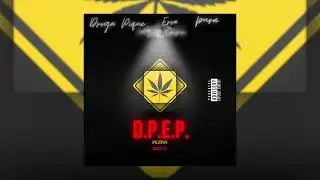 D.P.E.P.🍁- Pkzinn