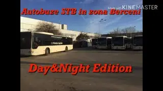 Autobuze STB in zona Berceni