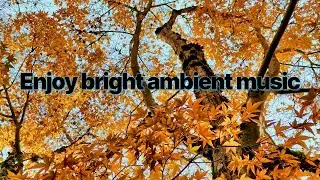 Enjoy Bright Ambient Music