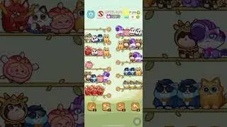 Color Cat Sort Cute Cat Game Level 369 #shorts #Gaming #shortsfeed