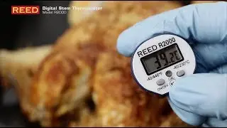 R2000 Digital Stem Thermometer