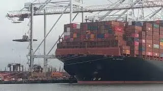 AL NEFUD Hapag-Lloyd Container Ship Southampton March 2023 | Solent Shipspotting 🇬🇧