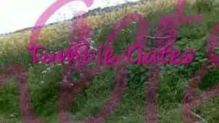 The Outside of 'St Mary The Virgin', Chedzoy, Somerset, April 20.wmv