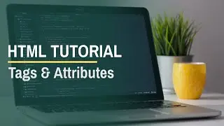 HTML Tutorial: Tags and Attributes #shorts