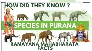 Ramayana ,Mahabharata, Puranas about extinct Elephant Species | Four tusk Gomphotheres