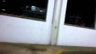 Bama Gator Records packed out