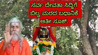 Bilva maradhalli badhanike Yanthra thayatha Siddhi Shakthi Pooja homa yajna yaga Shiv devatha hindhu
