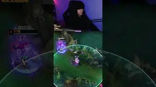 best camille counter