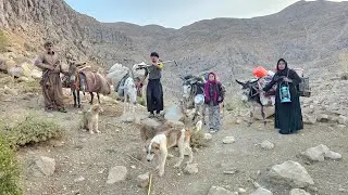 Real nomadic life | A nomadic family's migration through the mountains 🏔️🐎