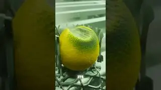 Sand Blaster Machine