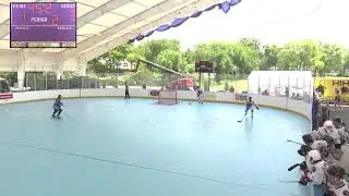 The Wish Cup 5 Pro Playoff
