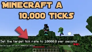 JUGUE MINECRAFT a 10000 TICKS Y es muy DIFICIL