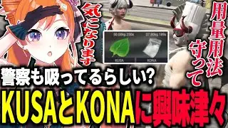 KUSAとKONAに興味津々のうさぎさん！【#切り抜き/#うさぎさん/#ストグラ 】