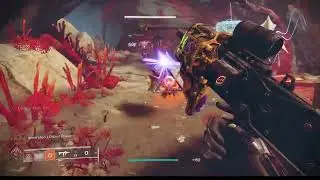 Ancient's Haunt